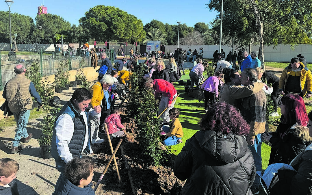 El Día del Árbol pone el broche de oro a  la Campaña de Navidad de Multipaterna